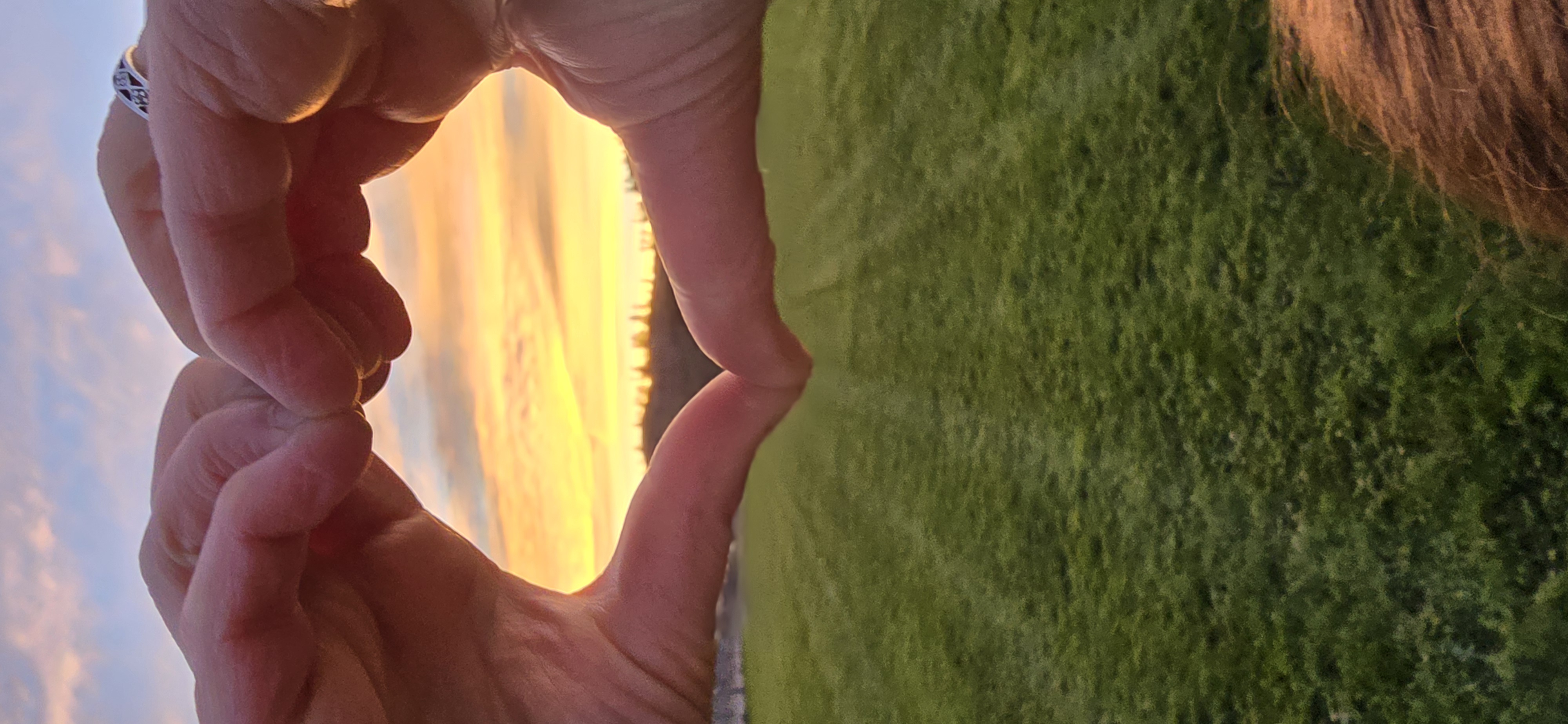 Adonica Sweet — 2024